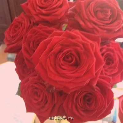 Csimona52, 21 ani