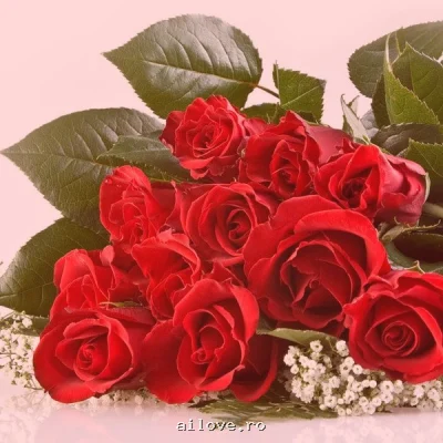 Tanase_gabriel, 36 ani